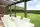 Moderne aluminium veranda met panoramisch tuinzicht in Ronse